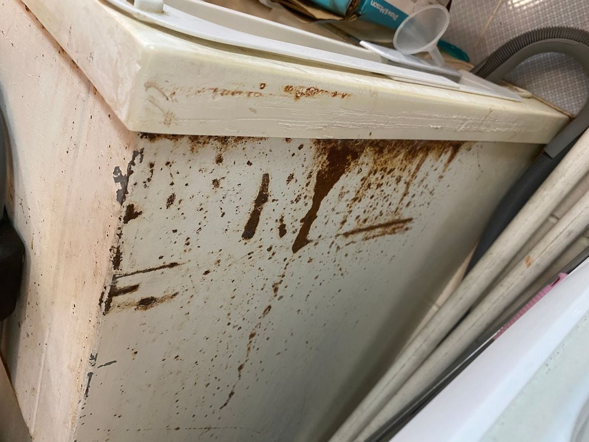 IMG_2588.jpeg IMG_2588.jpeg