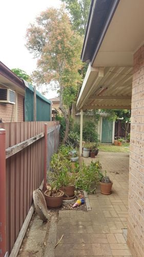 20191123_114153.jpg 20191123_114153.jpg