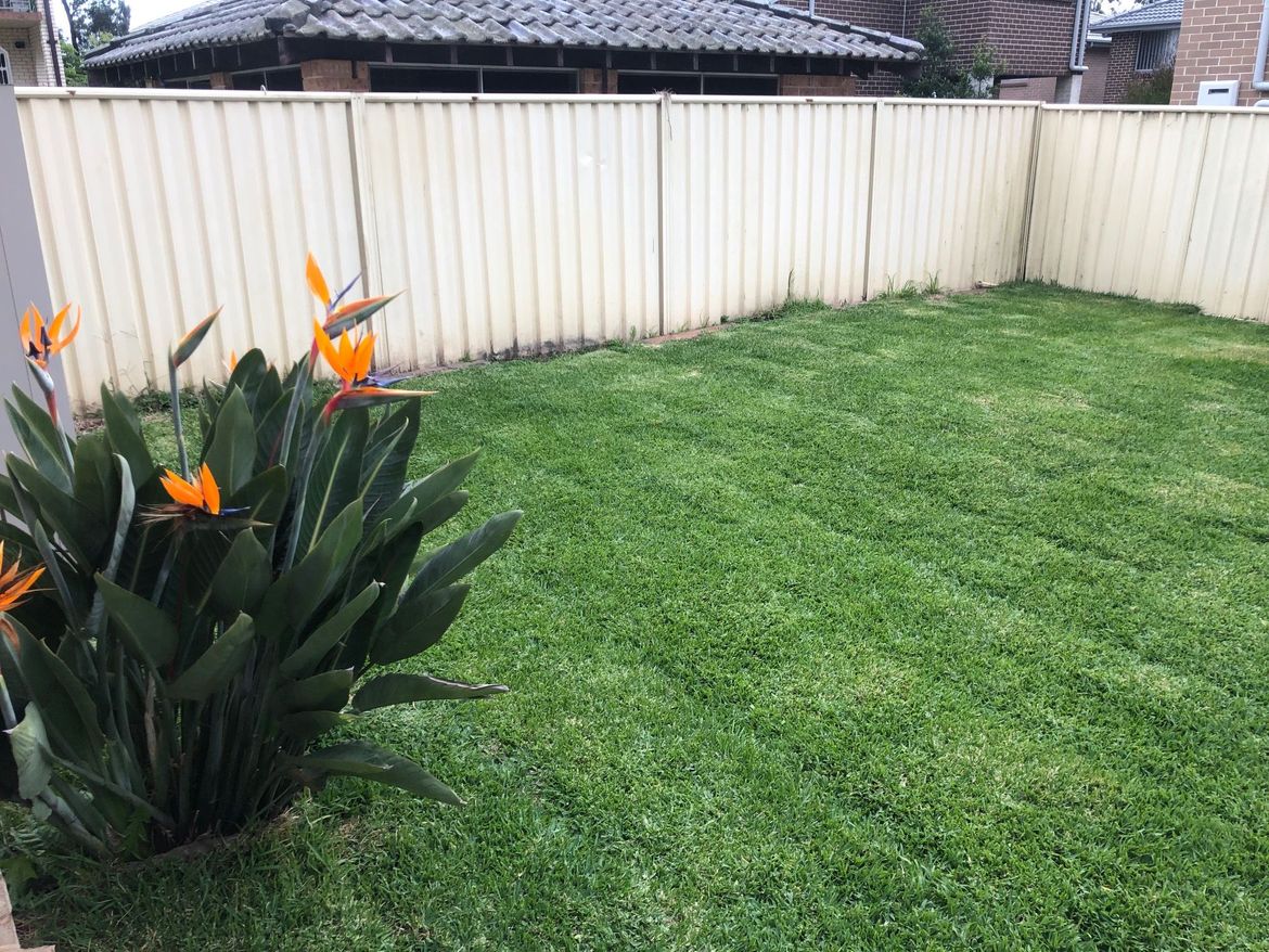 IMG_5168.jpg IMG_5168.jpg