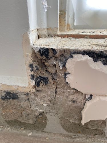 IMG_9334.jpeg IMG_9334.jpeg