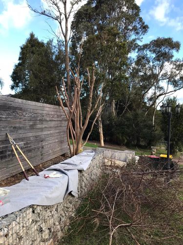 82 09-09-2022.jpg 82 09-09-2022.jpg