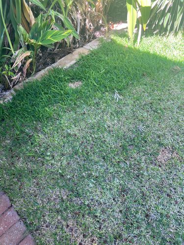 IMG_2333.jpeg IMG_2333.jpeg