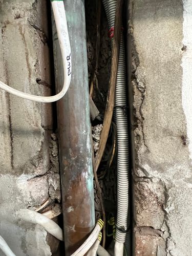 IMG_2239.jpeg IMG_2239.jpeg