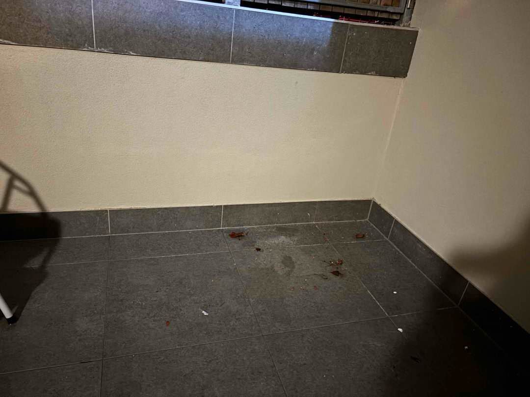 Image_20250604160629.jpg Image_20250604160629.jpg