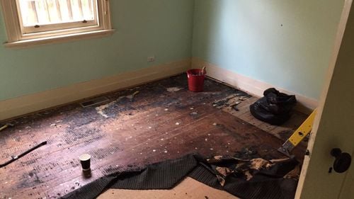 IMG_1507.JPG IMG_1507.JPG