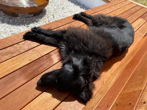 360F75BD-0702-4724-8DE9-507CC10DF5DD.jpeg 360F75BD-0702-4724-8DE9-507CC10DF5DD.jpeg