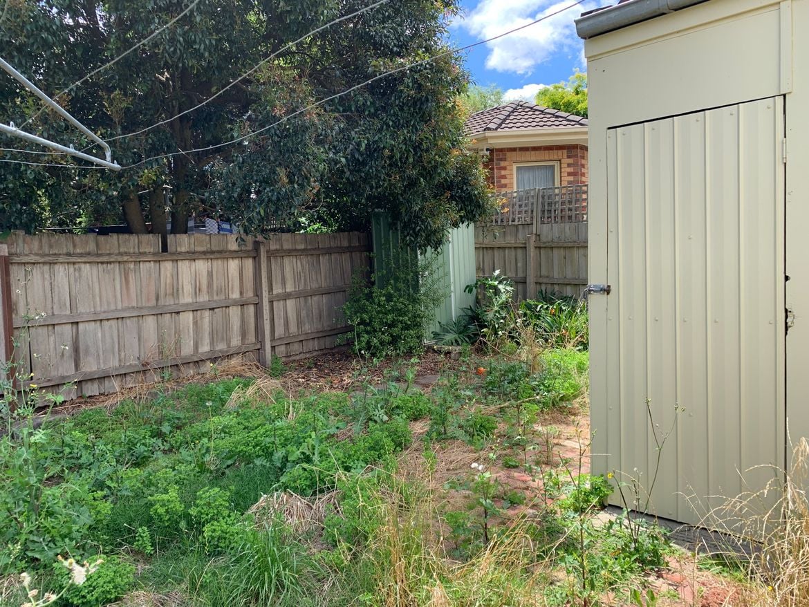 IMG-3885.jpg IMG-3885.jpg