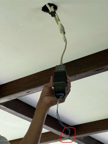 IMG_7938.jpeg IMG_7938.jpeg