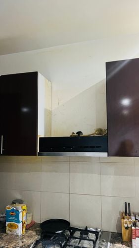 IMG_6092.jpeg IMG_6092.jpeg