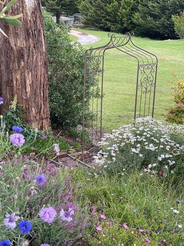 A18008FC-B81E-4DFE-8BF6-13C0DC10A073.jpeg A18008FC-B81E-4DFE-8BF6-13C0DC10A073.jpeg