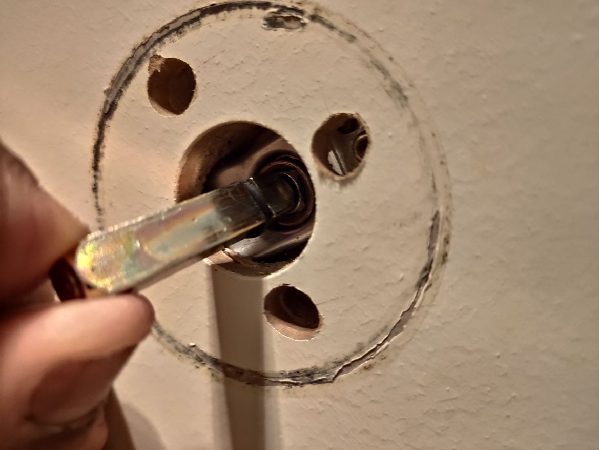 IMG_20200417_095822.jpg IMG_20200417_095822.jpg