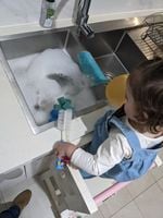 PXL_20220730_114427205.jpg PXL_20220730_114427205.jpg