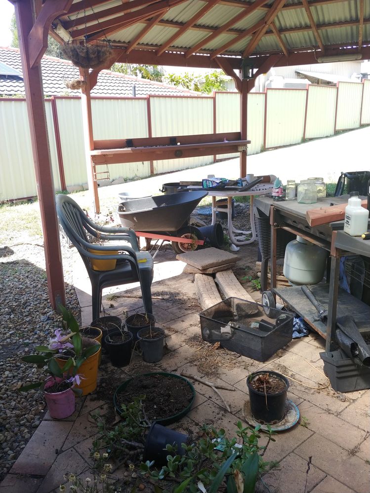 20230921_102256-2.jpg 20230921_102256-2.jpg