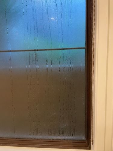 IMG_8837.jpeg IMG_8837.jpeg