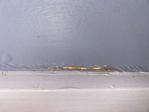 IMG_2675.jpeg IMG_2675.jpeg