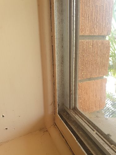 20200901_121734.jpg 20200901_121734.jpg