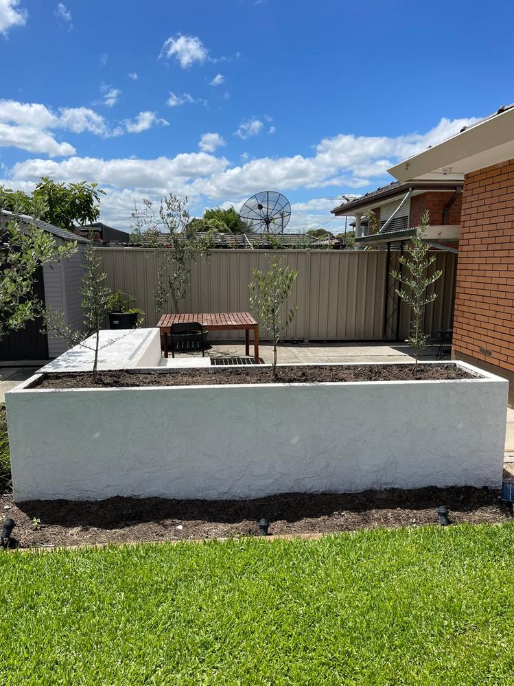 IMG_0421.JPEG IMG_0421.JPEG