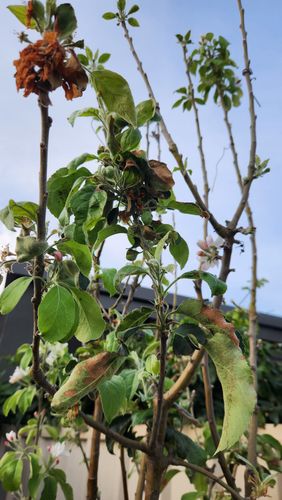 1000029969.jpg 1000029969.jpg