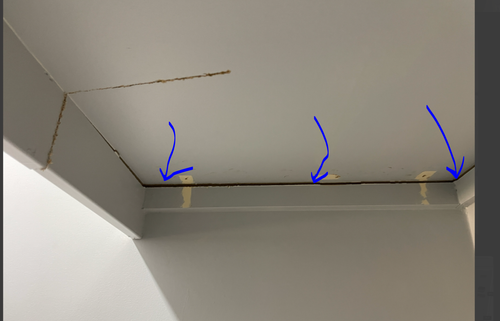 Sugar_10-1747917972767.png Sugar_10-1747917972767.png