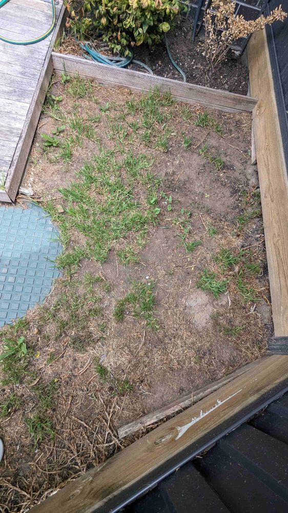 PXL_20241206_033313182.jpg PXL_20241206_033313182.jpg