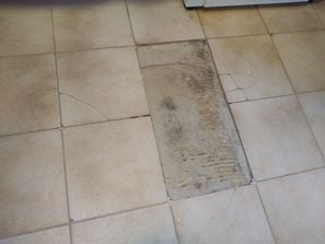 1000004551-1.jpg 1000004551-1.jpg