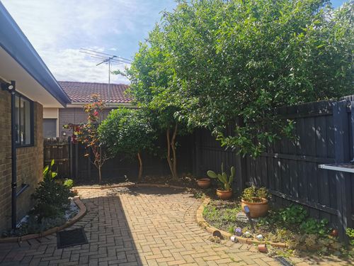 IMG_20221211_104507.jpg IMG_20221211_104507.jpg