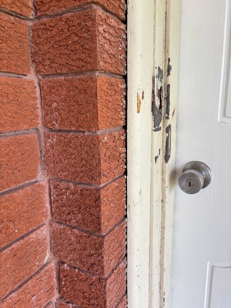 IMG_1891.jpeg IMG_1891.jpeg