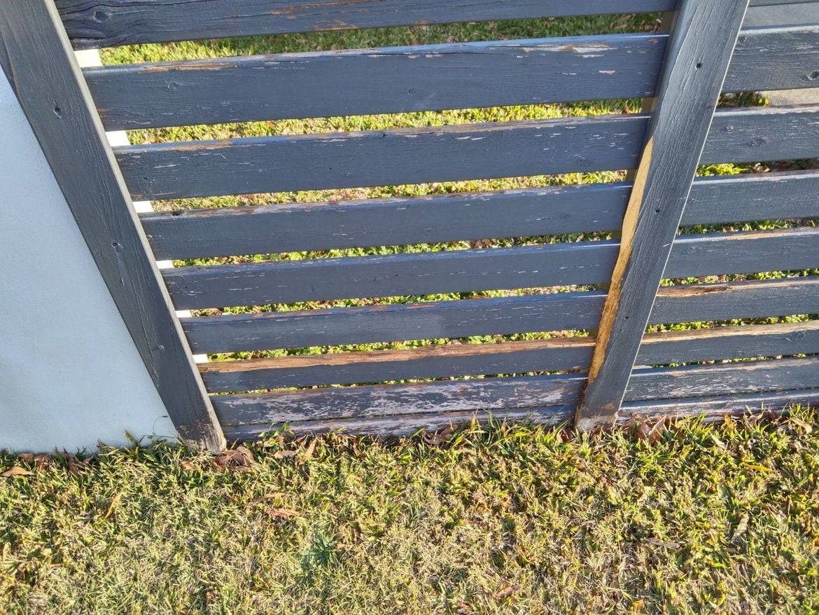 front fence 3.jpg front fence 3.jpg