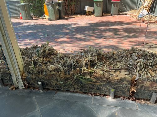 IMG_6059.jpeg IMG_6059.jpeg