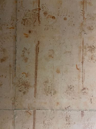 IMG_1829.jpeg IMG_1829.jpeg