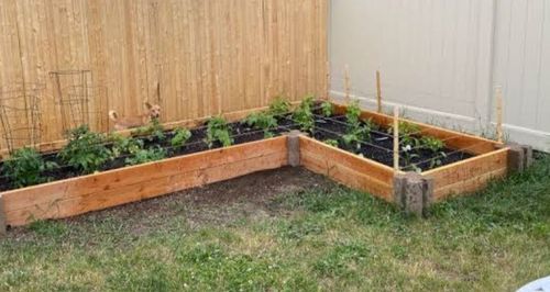 IMG_4469.jpeg IMG_4469.jpeg