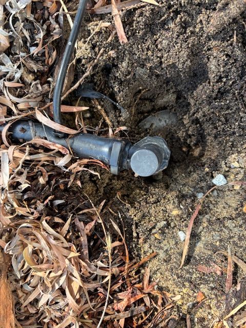 IMG_3898.jpg IMG_3898.jpg