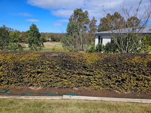 20230819_121413.jpg 20230819_121413.jpg