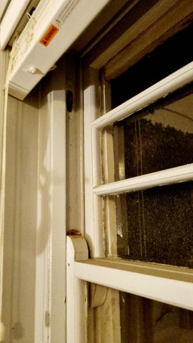 1000031057.jpg 1000031057.jpg