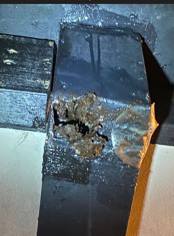 E26C26F7-2496-4BAD-9D80-04F1E67B3E6E.jpeg E26C26F7-2496-4BAD-9D80-04F1E67B3E6E.jpeg