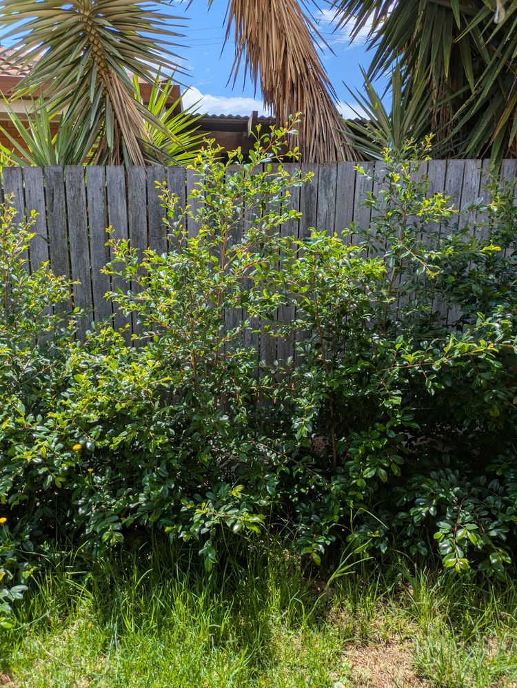 PXL_20251101_005507188.MP.jpg PXL_20251101_005507188.MP.jpg