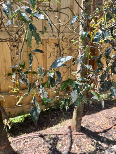 IMG_7527.jpeg IMG_7527.jpeg