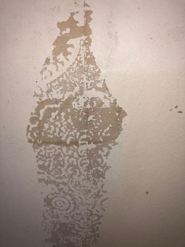 IMG_8844.jpeg IMG_8844.jpeg