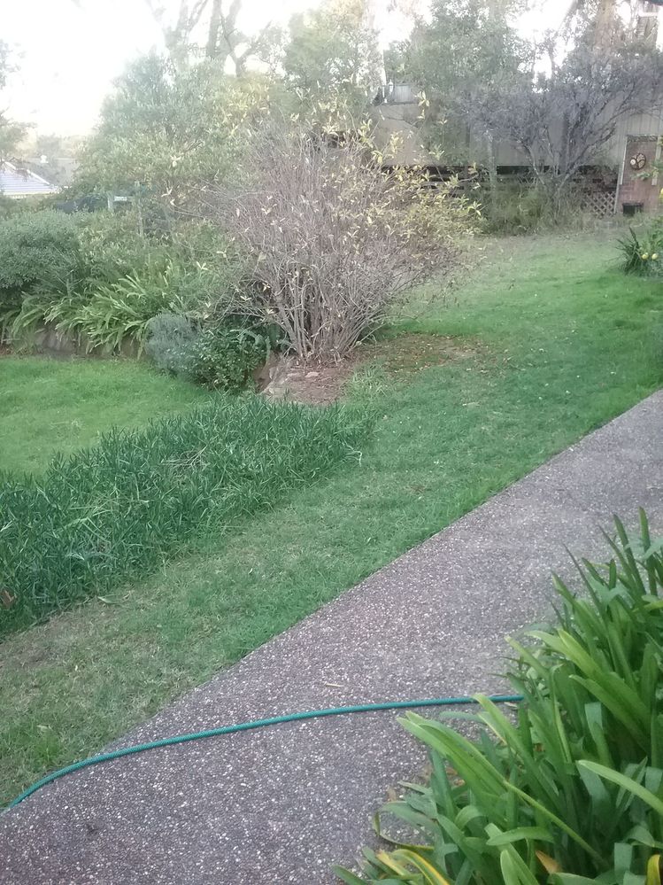 20180708_164224.jpg 20180708_164224.jpg