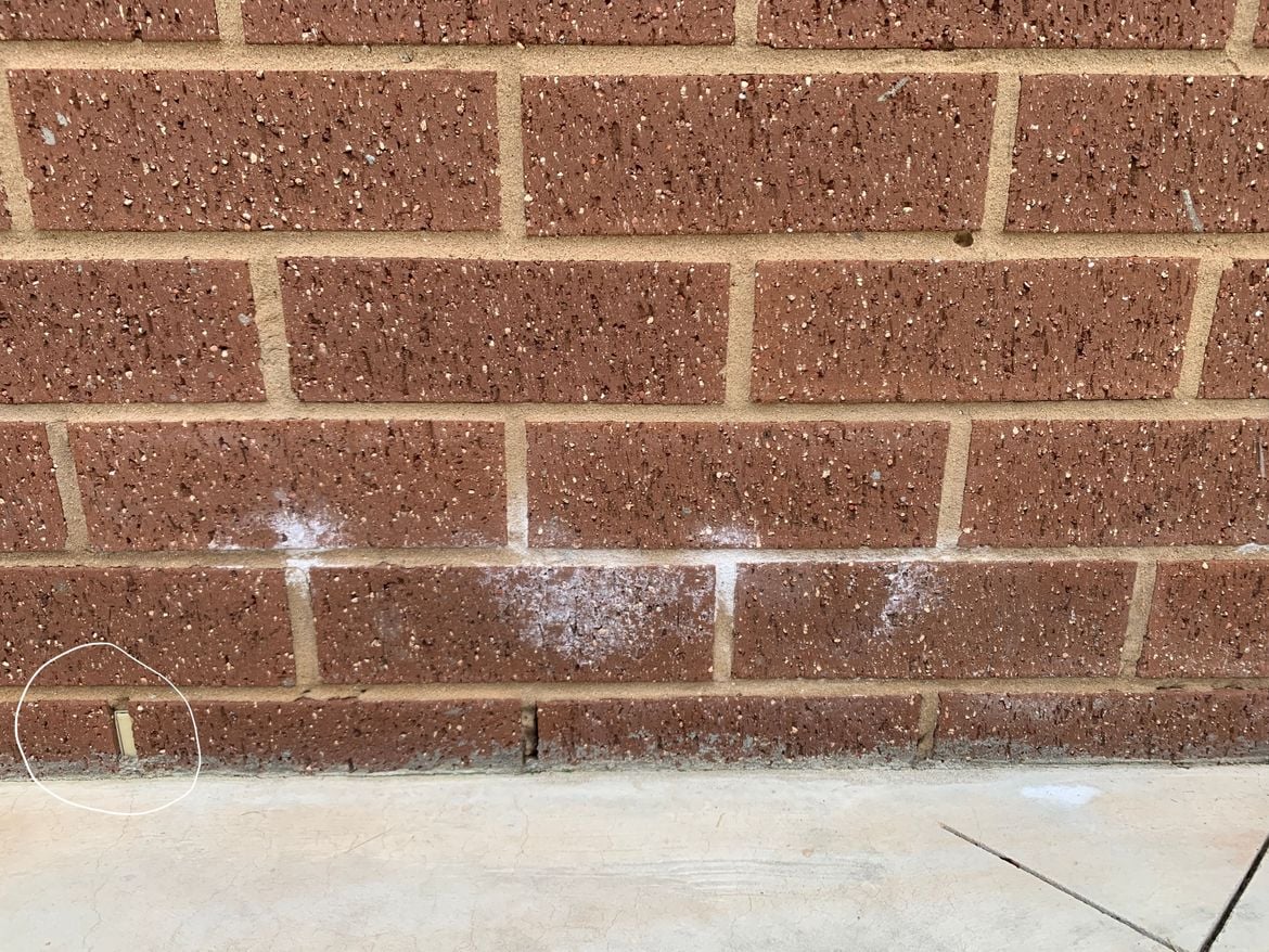 IMG_8049.JPG IMG_8049.JPG