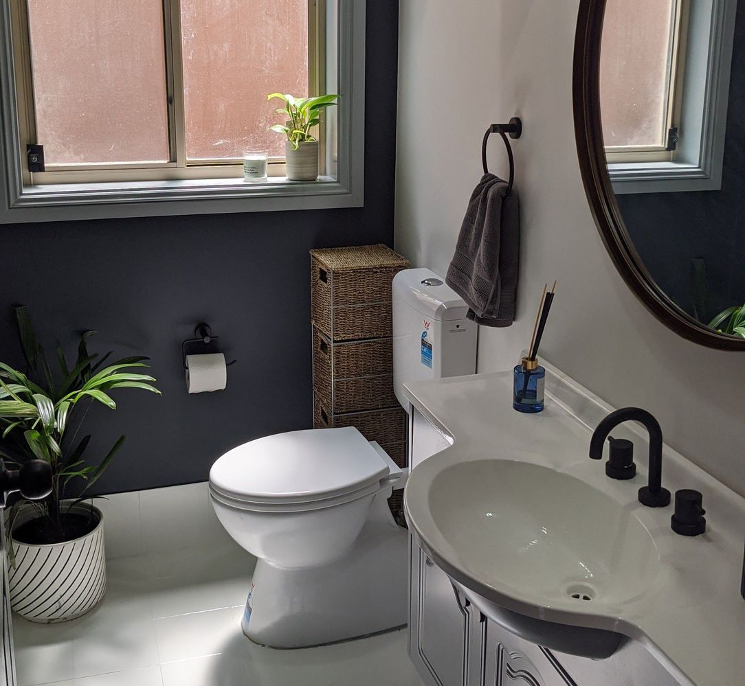 StelzToilet.jpeg StelzToilet.jpeg