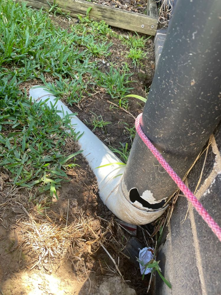 IMG_9222.jpg IMG_9222.jpg