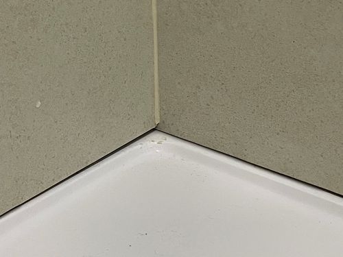 IMG_1504.jpeg IMG_1504.jpeg