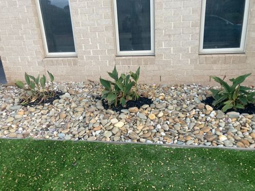 IMG_1292.jpeg IMG_1292.jpeg