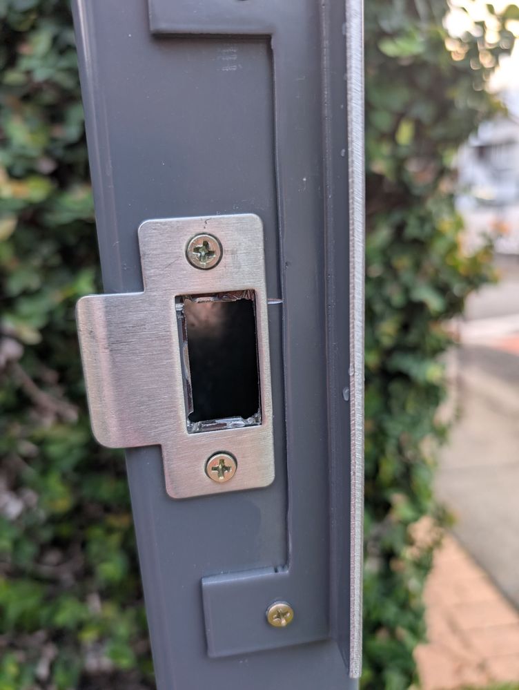 PXL_20250423_065419586.jpg PXL_20250423_065419586.jpg