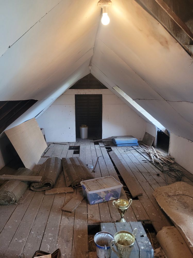 20231208_104854.jpg 20231208_104854.jpg