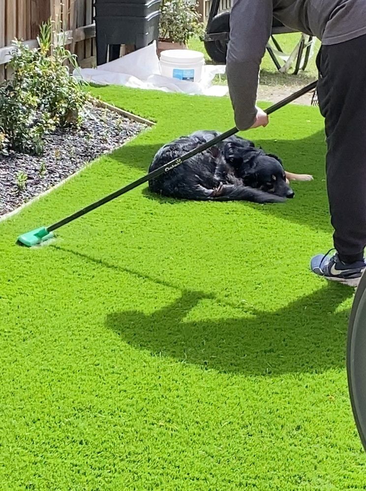 brushing_in_silica.jpg brushing_in_silica.jpg