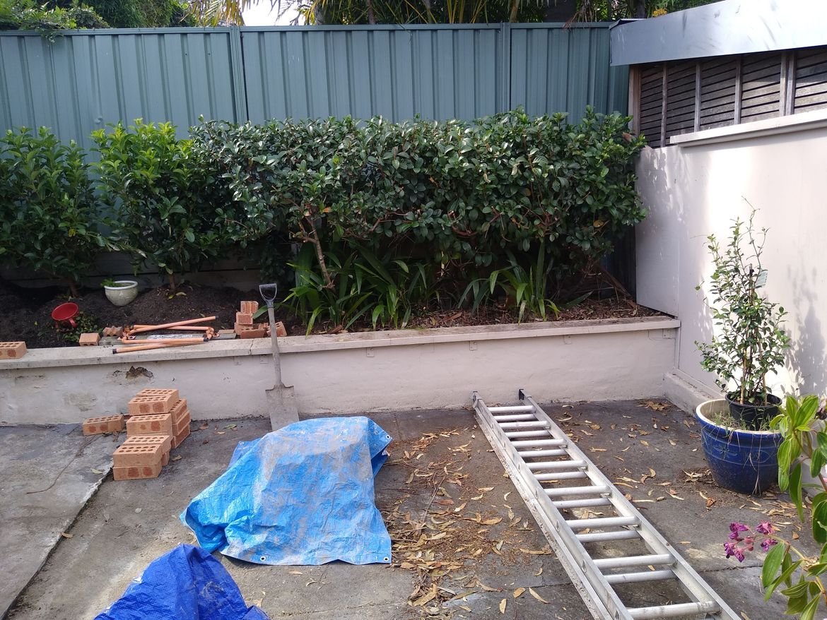 IMG_20240419_110514335.jpg IMG_20240419_110514335.jpg