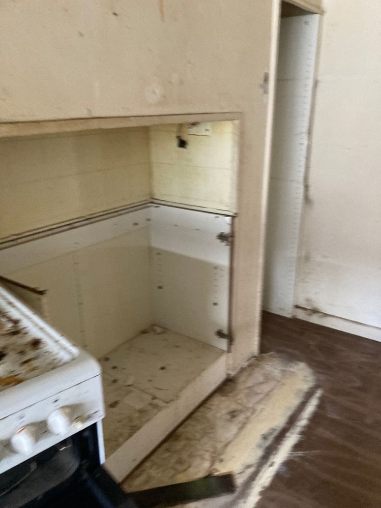 IMG-2130.jpg IMG-2130.jpg