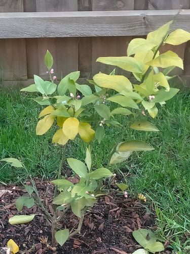 IMG20241020191347.jpg IMG20241020191347.jpg